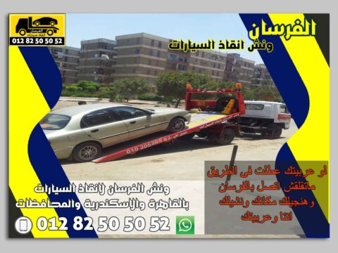 ونش الفرسان في المنيل