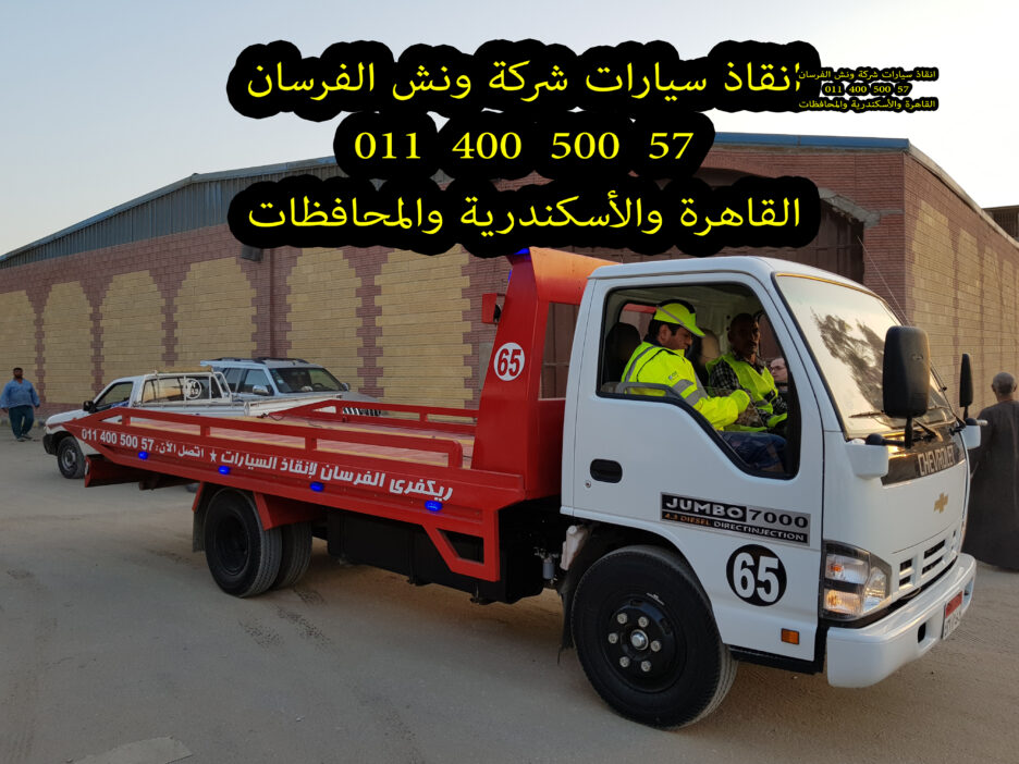 الفرسان